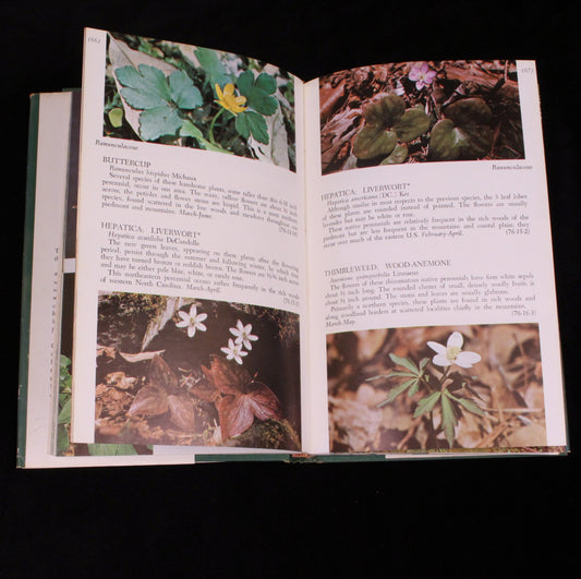Wild Flowers of North Carolina and Surrounding Areas