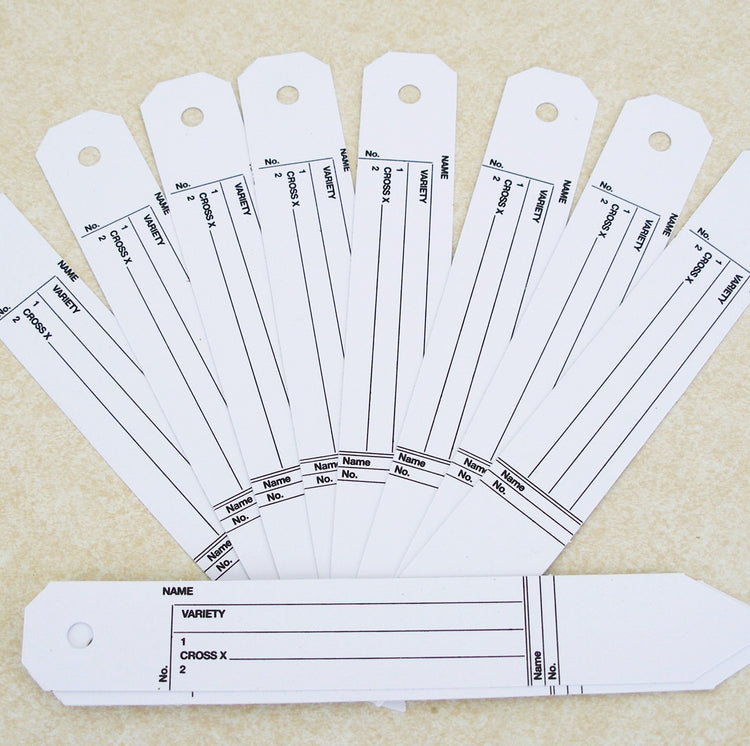Miscellaneous Supplies