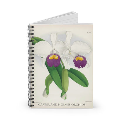 White Cattleya Orchid Spiral Notebook | Ruled Lined Journal, Botanical Illustration
