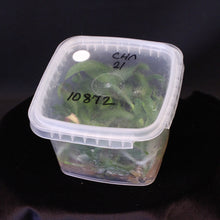 Load image into Gallery viewer, *FLASK* Blc. Martha Brooker x Blc. Nina de Primavera