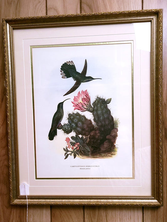 Hummingbird and Cactus Print