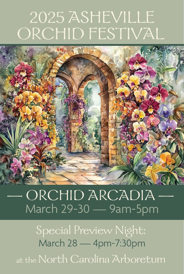 Carter and Holmes Orchids