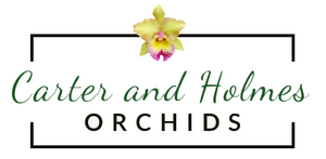 Carter and Holmes Orchids