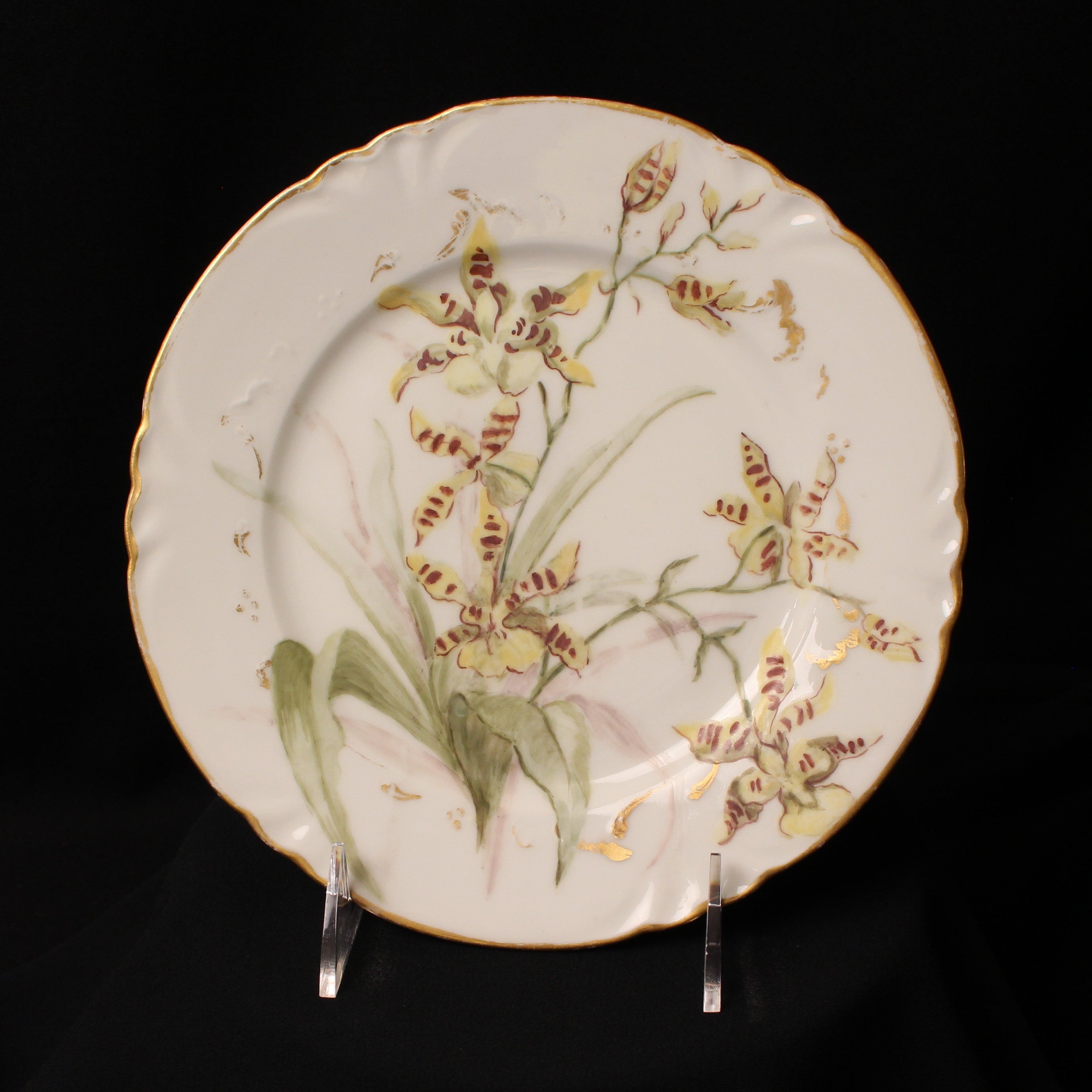 Limoges China- Cabinet Plate – Carter and Holmes Orchids