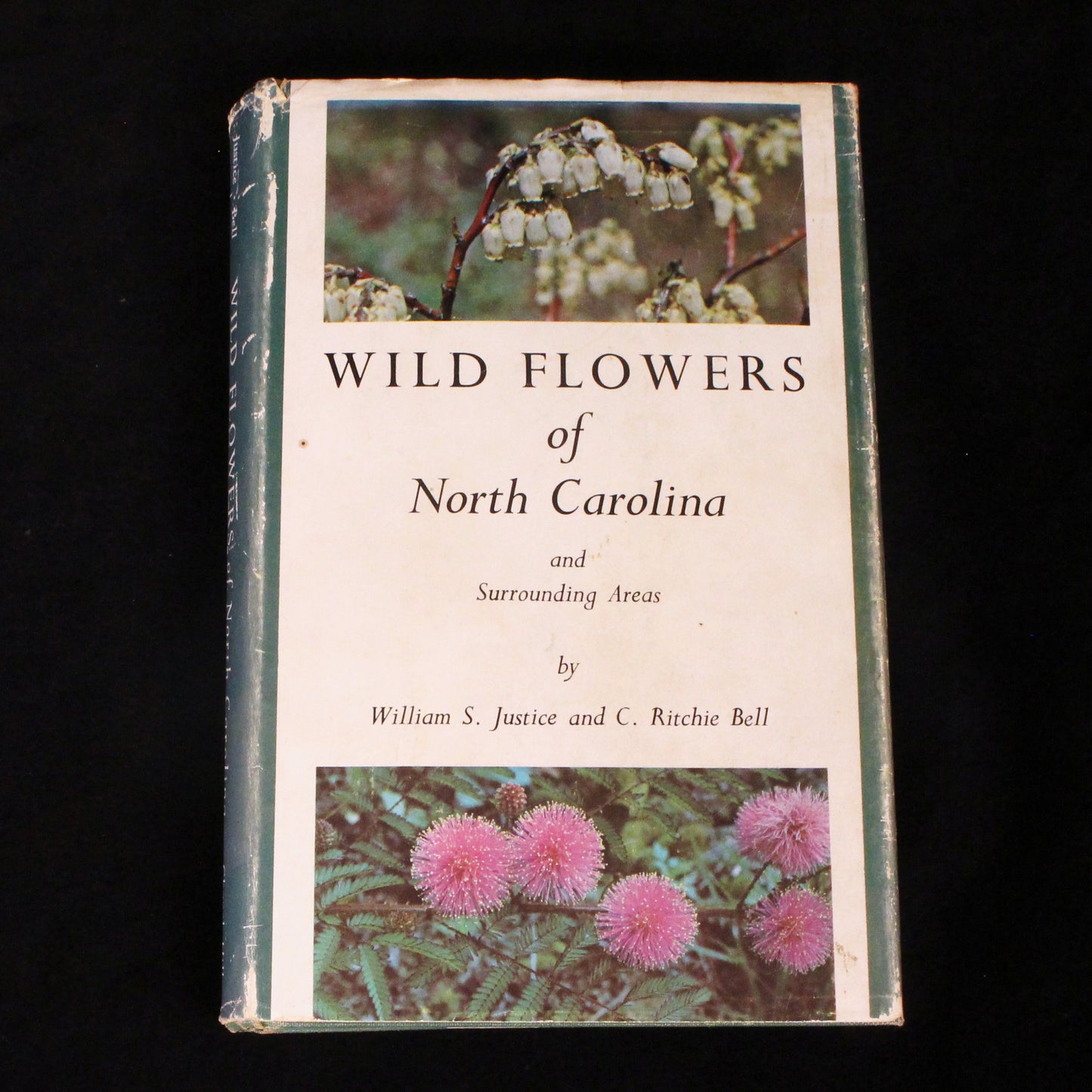 Wild Flowers of North Carolina and Surrounding Areas