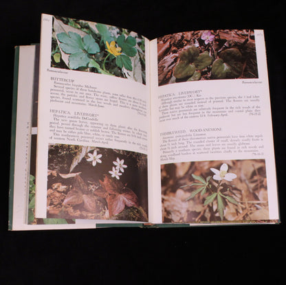 Wild Flowers of North Carolina and Surrounding Areas