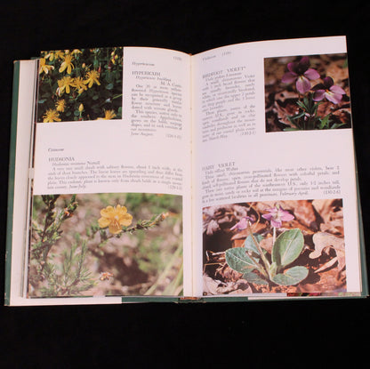 Wild Flowers of North Carolina and Surrounding Areas