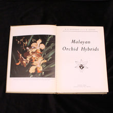 Load image into Gallery viewer, Malayan Orchid Hybrids