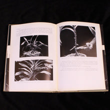 Load image into Gallery viewer, Malayan Orchid Hybrids