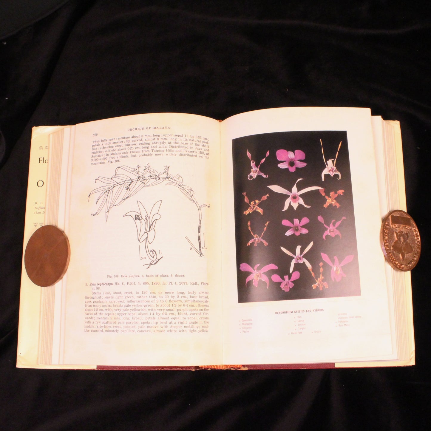 Flora of Malaya: Volumes I & II