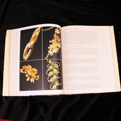 The Orchid World (First English Translation)