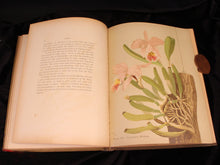 Load image into Gallery viewer, Orchids: The Royal Family of Plants