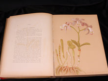 Load image into Gallery viewer, Orchids: The Royal Family of Plants