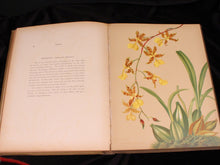 Load image into Gallery viewer, Orchids: The Royal Family of Plants