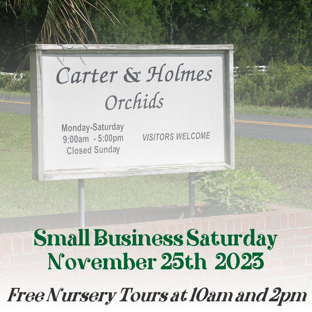 Carter and Holmes Orchids