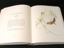 Load image into Gallery viewer, Orchidaceae- First Edition, Signed &amp; Numbered Rare Book