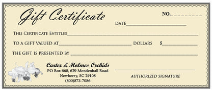 Gift Certificate (Pick Amount)