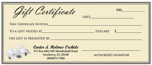 Gift Certificate (Pick Amount)