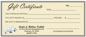 Gift Certificate (Pick Amount)