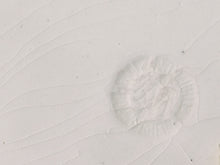 Load image into Gallery viewer, Antique German Porcelain Plate (1873)