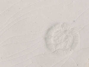 Antique German Porcelain Plate (1873)